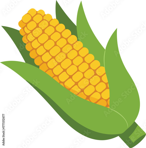 Fresh corn cob maize harvest food illustration vector