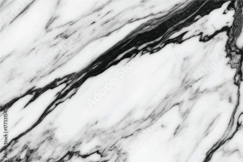 Elegant white marble with striking black veining, a luxurious natural stone surface texture with classic sophistication for architectural and design applications. Vector