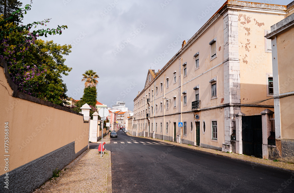 Fototapeta premium Quiet street scene in a city, featuring a wide road lined with buildings. Architecture is a mix of old and modern styles, with a palm tree visible. The sky is overcast, suggesting a calm atmosphere.