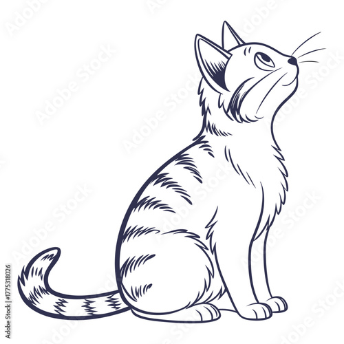 Cute kitty cat vector illustration set with different cat breeds, toys, and food.