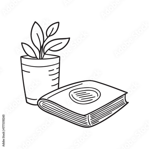 A magazine near a plant casting soft shadows