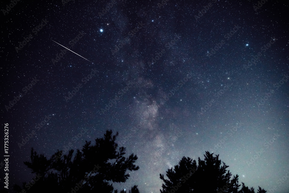 Naklejka premium Milky way stars and constellations with landscape silhouettes photographed from a dark countryside location.