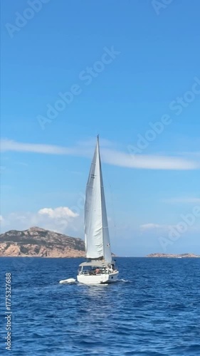 sailboat on the sea