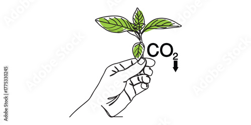 Hand holding a green sprout with CO₂ text and arrow, symbolizing carbon absorption and environmental sustainability. Ideal for eco-friendly design, carbon footprint reduction