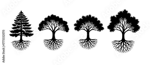 vector silhouettes of trees