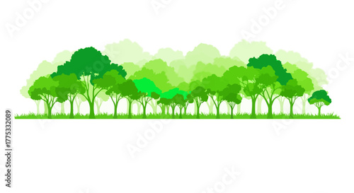 green forest landscape