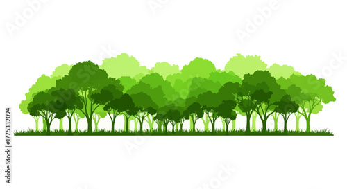 Natural Woodland Border Illustration in Shades of Green