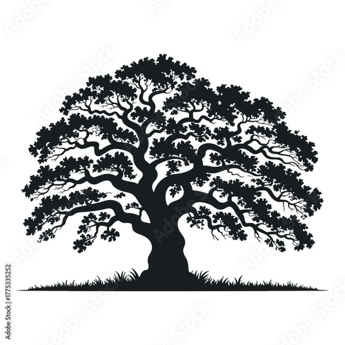 Elegant monochrome depiction of a robust forest giant, its dense canopy and sturdy form symbolizing life, stability, and natural heritage. A timeless nature illustration