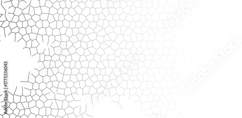 Abstract grayscale geometric pattern with irregular polygon shapes forming a mosaic effect, transitioning from light gray to a smooth white background, creating a clean, modern design