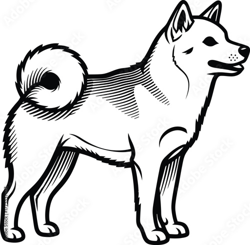Shiba inu dog breed vector illustration pet animal japanese spitz dog eps silhouette