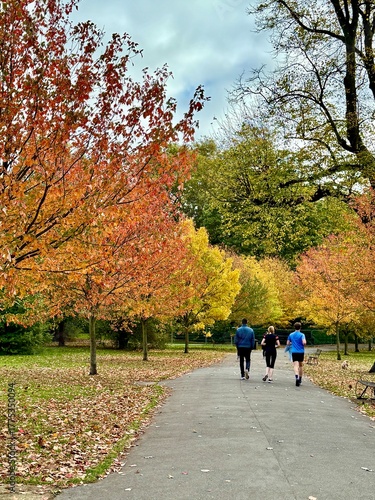 Unrecognisable people running in the park with colourful orange and golden autumn leaves on the trees.  Taken in a a park.
