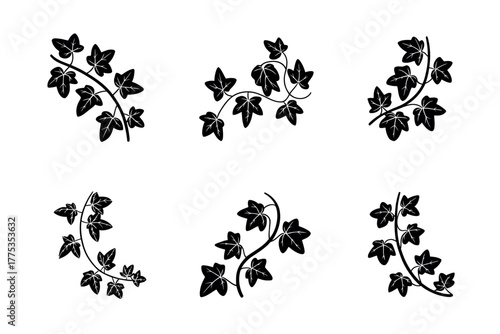 Six black ivy sprigs with leaves arranged on a white background in a pattern