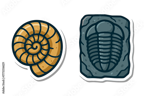 Ammonite shell and trilobite fossils of ancient marine life embedded in stone