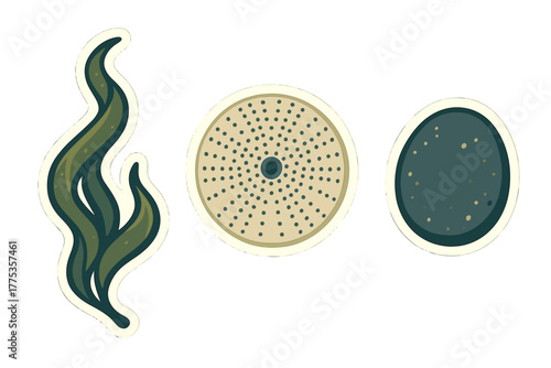 Stylized biological elements featuring dark green seaweed and circular spore shapes