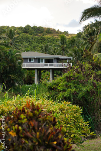 Wallpaper Mural Stelzenhäuser, Moloaʻa Beach, Kauai, Hawaii Torontodigital.ca