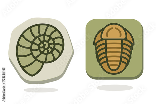 Ammonite shell and trilobite arthropod ancient marine life fossils set