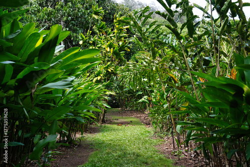 Botanischer Garten McBryde Garden & Allerton Garden, Hawaii