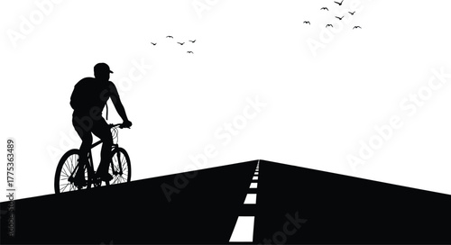 Cyclist on road with birds flying in sky silhouette, cyclist, bicycle, road, asphalt, highway, journey, travel, freedom, open road, transportation, silhouette, black and white, sky, birds, flock, flyi