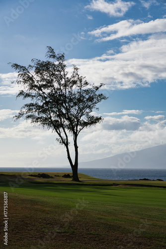 Wallpaper Mural Dragon’s Teeth, Makaluapuna Point, Kapalua, Maui, Hawaii Torontodigital.ca