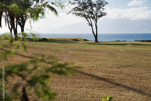 Wallpaper Mural Dragon’s Teeth Access Trail, Maui, Hawaii Torontodigital.ca