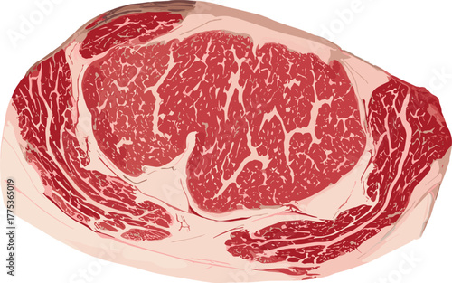 Raw ribeye steak with marbling, red muscle tissue, white fat streaks, premium beef cut, cad drawing flat vector illustration