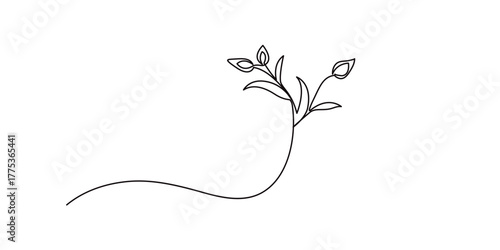 Continuous single line art of seed sprouting and plant growth stages minimalist botanical vector, Plant growing continuous one line art drawing of tree plant. 