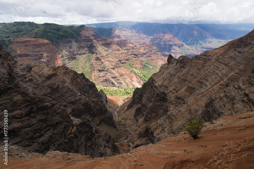 Wallpaper Mural Naturerlebnis Waimea Canyon, Kauai, Hawaii Torontodigital.ca