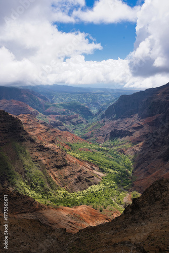 Wallpaper Mural Naturwunder Waimea Canyon, Kauai, Hawaii Torontodigital.ca