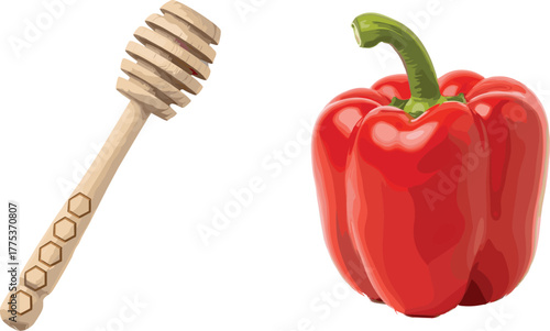 Wooden honey dipper with hexagon handle and red bell pepper side by side, cad drawing flat vector illustration, kitchen elements