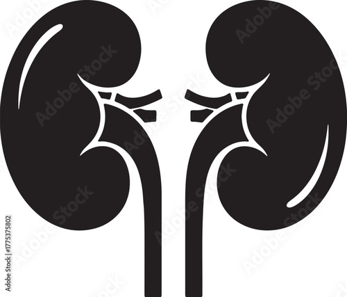 Stylized Black and White Icon of Human Kidneys.