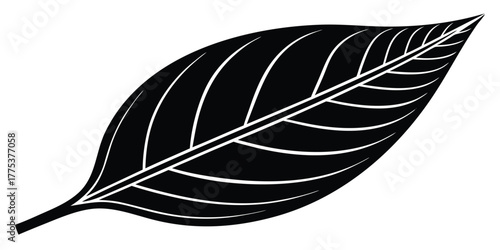 Black and White Vector Illustration of a Single Leaf with Detailed Veins
