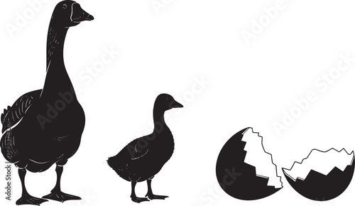 Silhouette of a goose and a gosling next to a broken eggshell.