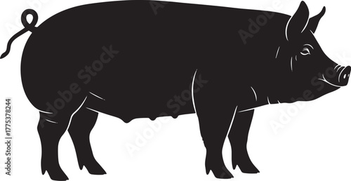 Silhouette of a black pig standing in profile, showing details of its body.