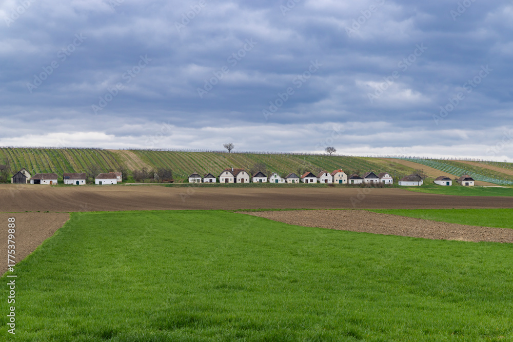 Naklejka premium Austrian village houses along vineyard hills at Grosharras