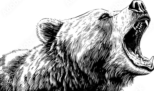 Roaring bear in vintage engraving style silhouette for retro design
