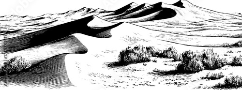 Serene desert dunes with wind patterns in vintage engraving style