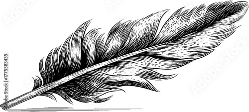 Vintage feather sketch in diagonal hatch engraving style for retro design