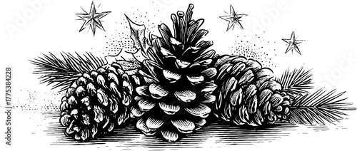 Circular christmas composition with engraved pine cones and mistletoe for holiday design