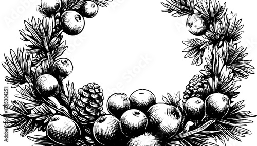 Engraved circular wreath of pine branches and berries for holiday design