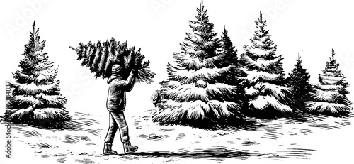 Winter scene of man carrying freshly cut fir tree in vintage engraving style