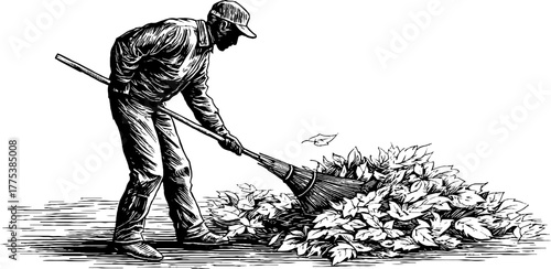 Autumn yard cleanup - vintage style engraving of man sweeping leaves for seasonal design