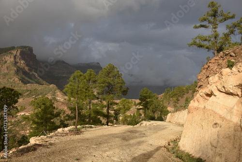 Parque rural del Nublo, Grande Canarie, Espagne