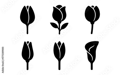 Minimalist black floral icons set: tulip and rose silhouettes