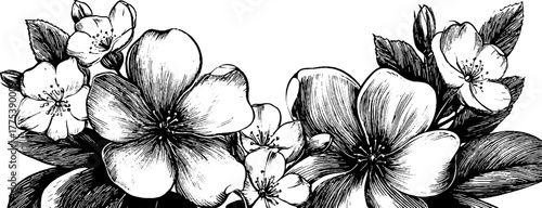 Vintage floral frame with symmetrical leaves and petals for design