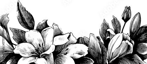 Ornamental floral frame with symmetrical leaves and petals for vintage design projects