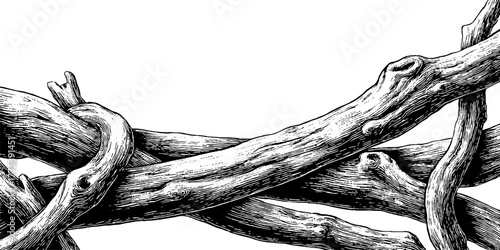 Ornamental vintage background with intertwined engraved lines design for decor