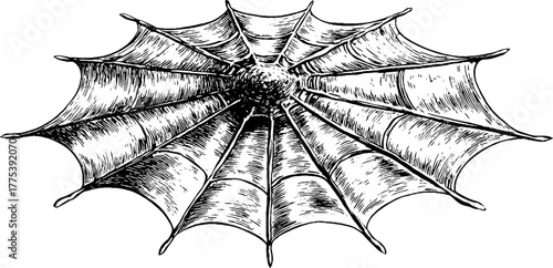 Vintage engraving style symmetrical spider web pattern design for art and craft