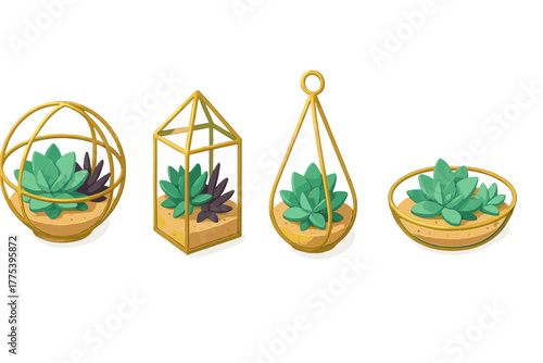 Four stylized succulent plants inside modern gold geometric terrarium containers