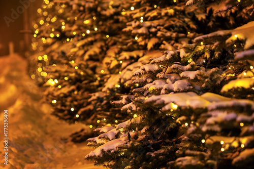 Snow-covered trees adorned with warm lights create a winter wonderland during holiday season