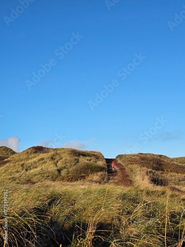The beautiful Danish Western coast